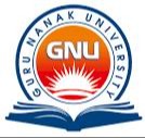Guru Nanak University